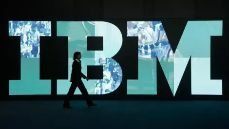 Kiwi start-up bags top IBM ANZ honour...