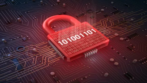 Kiwi tech firms unite in global security push