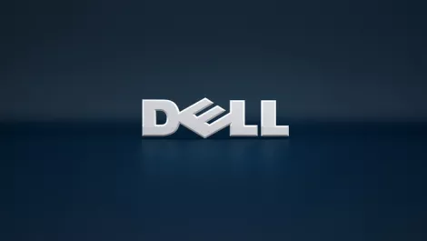 Dell delivers despite PC monitor market decline