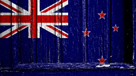 Internet Party: Second cable 'critical' for NZ's digital future