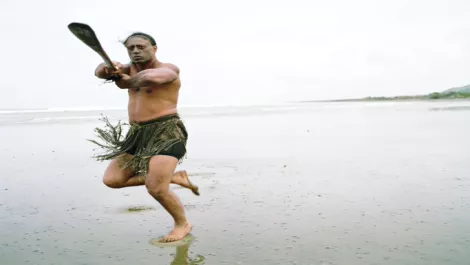 Microsoft's Maori commitment during 2012