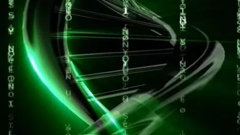 Alleviating the data boom