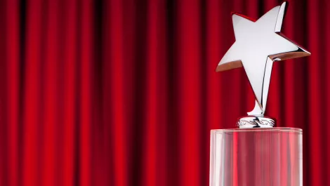 Recognising excellence: 2008 Microsoft partner award winners