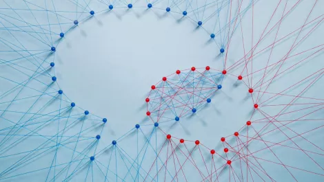 Are you a robot? Software nightmares in online marketing