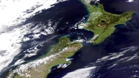 NZ businesses lack management mindset