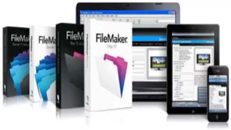 FileMaker appoints Ingram to fight ignorance