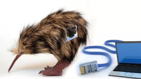 Silver Peak's plan to tame Kiwi data