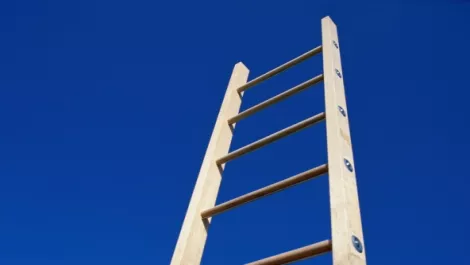Ladder