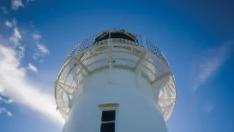 Cloud code promises stability