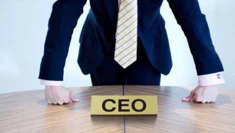 Startup ceo 1