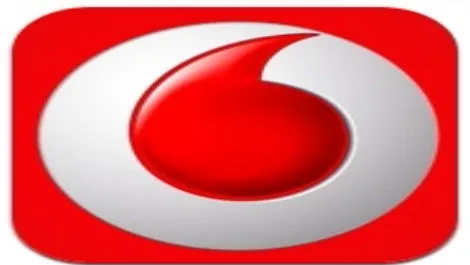 Egypt govt forced Vodafone to send out texts