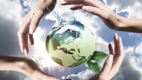 Embracing the cloud and UFB for sustainability