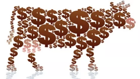 Weak global demand weighs on New Zealand sheep, cattle prices