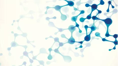 NZ government launches Ageing Well, the latest national science challenge