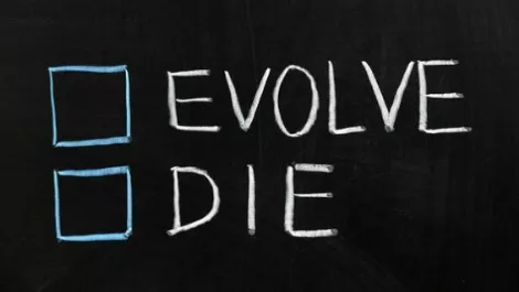 Adapt your customer service strategies, or die.