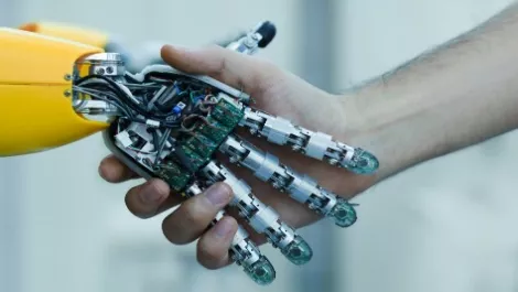 Human and robot