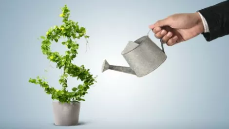 GeoOp to raise $2.4M in private placement to fund Australian growth, SPP to follow