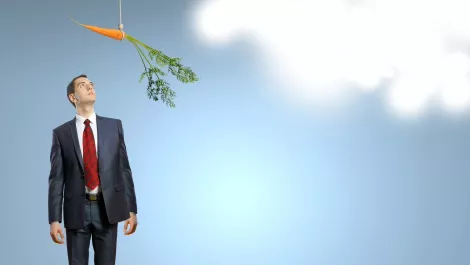 Carrot