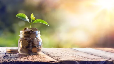 Thinkstockphotos 505872010