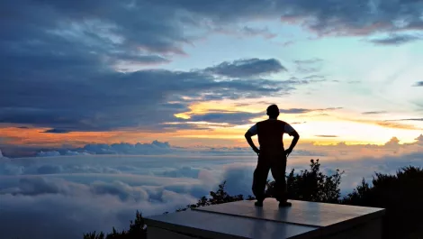 Kiwi startup bringing Silicon Valley ideals to local businesses