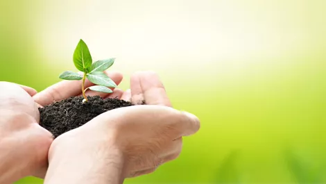Thinkstockphotos 489222783