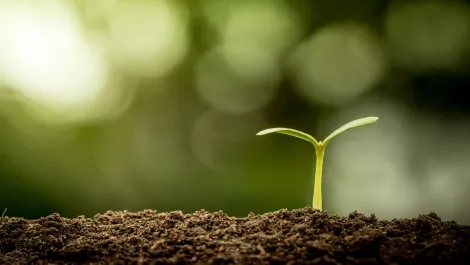 Thinkstockphotos 486530452