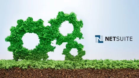 Netsuite new cogs green