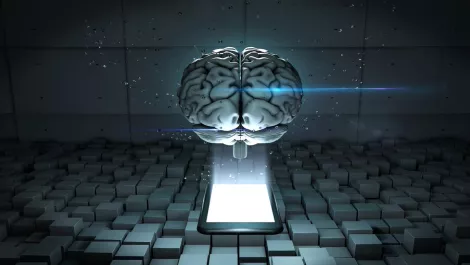 Are chatbots just a fad? One app developer shares his thoughts