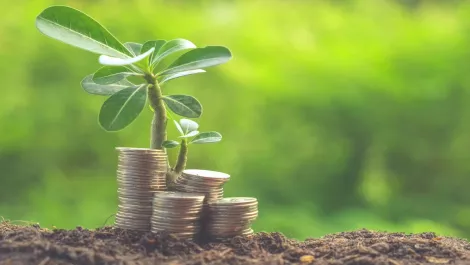 Which vendor remains on top in shrinking global tablet market?