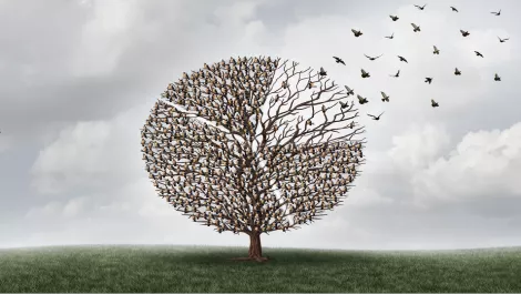 Xero completes two year data migration to Amazon Web Services