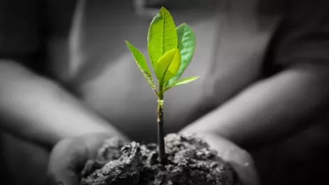 F5's 'exceptional' channel growth within ANZ