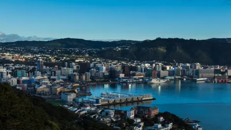 Skilled tech recruits flock to Wellington after talent attraction programme