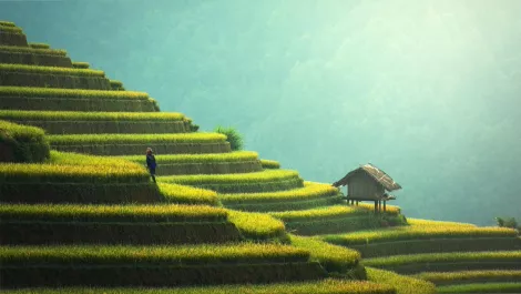 CBRE labels APAC as “land of IT and data center opportunity”