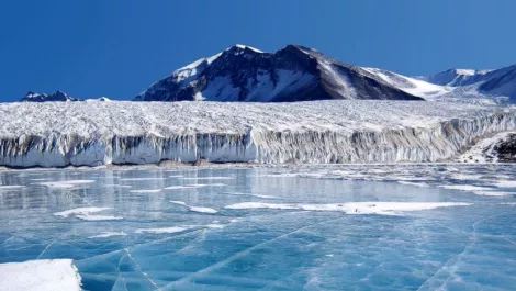 Tourists feel the chill of Antarctica in Air NZ's next safety video