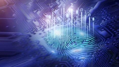 Thinkstockphotos 878178866