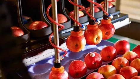 Agricultural robotics firm appoints new CEO as it prepares to go global