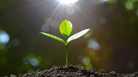 Infor rolls out three new solutions