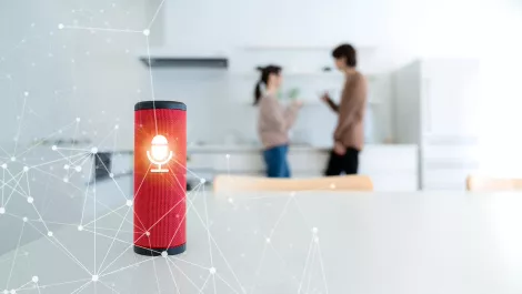 Search to purchase will cause voice AI tech to bloom