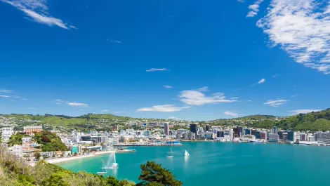 TeamTalk sets sights on CityLink fibre optic upgrade