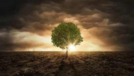 Wellington to support startups tackling climate change