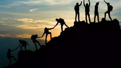 Teamwork6