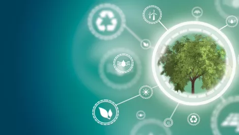 Record growth for NZ startups as conscious investment trend emerges