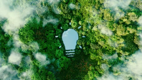 Schneider Electric ups the ante on sustainability strategy