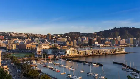 Capital’s climate action gains global recognition
