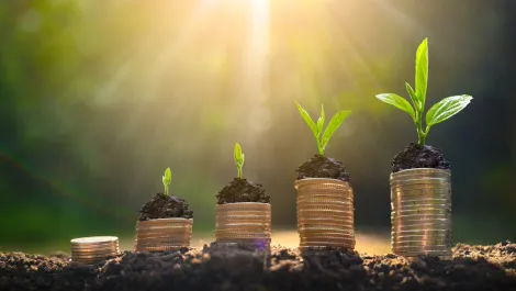 Hnry banks $35 million in Series B round to fuel expansion