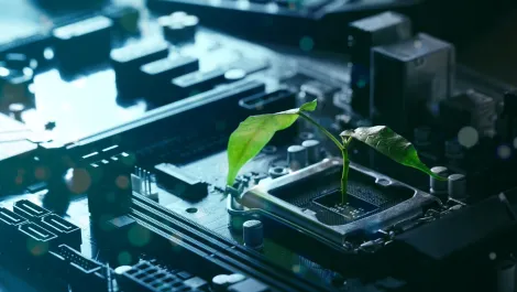 Gettyimages 1446897887