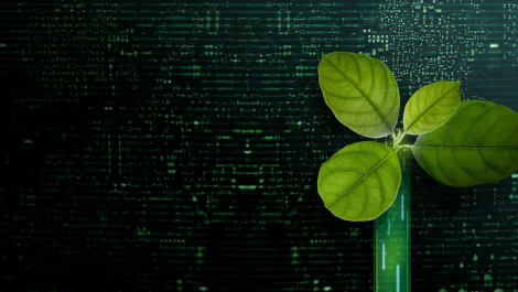 Gettyimages 1389083255