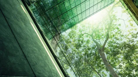 Blue Connections IT achieves carbon neutral certification