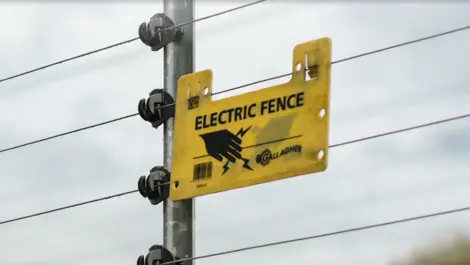 Gallagher partners with Fortified to boost perimeter security services